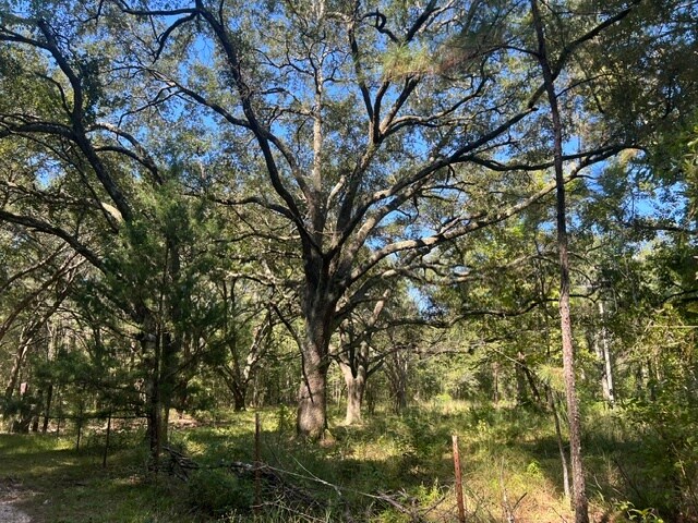 More Photos Of 122 Carl W Ln, Greensburg Land For Sale