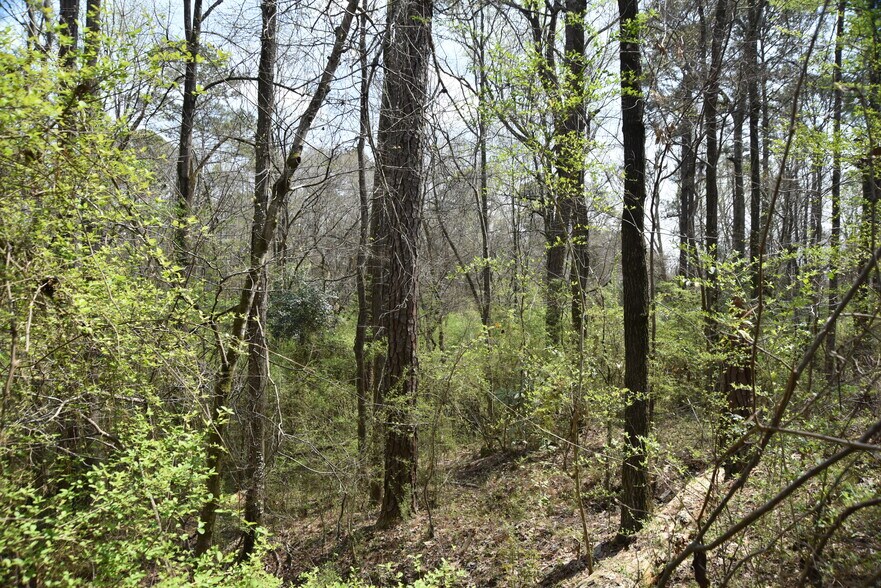 More Photos Of Warm Springs Rd @ GA-208, Waverly Hall Land For Sale