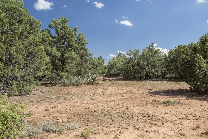 More Photos Of 1200 Airport, Payson Land For Sale