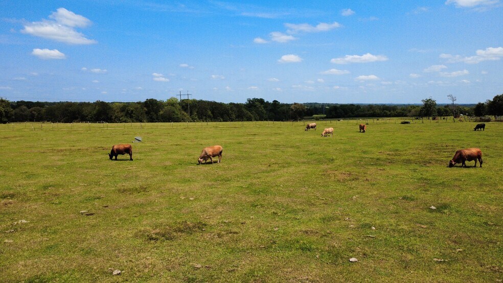 More Photos Of 18121 TX-105, Plantersville Land For Sale