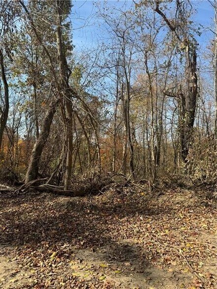 More Photos Of 0 Fallen Timber rd, Avella Land For Sale