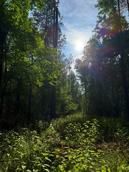 More Photos Of 00 Kennedy Rd, Winnsboro Land For Sale
