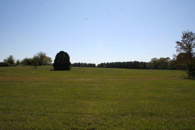 More Photos Of 2365 E Oak St, Conway Land For Sale