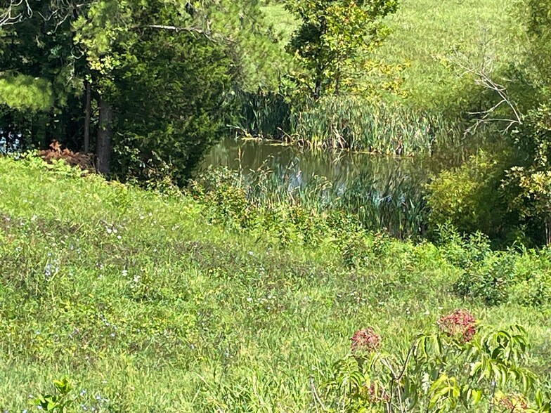 More Photos Of Flatwoods Road, Mosheim Land For Sale