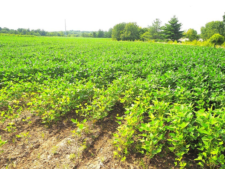 More Photos Of Technology Dr at Weldon Spring Rd. Northeast @ Weldon Spring Road, O'Fallon Land For Sale