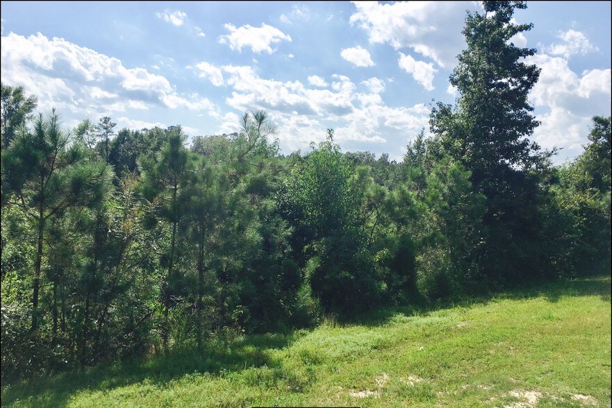 More Photos Of NC Hwy 24 87, Cameron Land For Lease