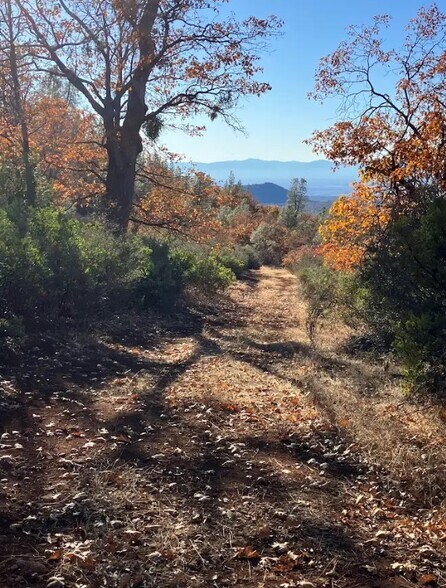 More Photos Of 1989 Tract Shingletown Ridge Rd, Shingletown Land For Sale