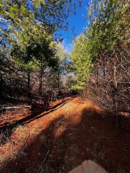 More Photos Of 480 Rear Wareham Street, Middleboro Land For Sale