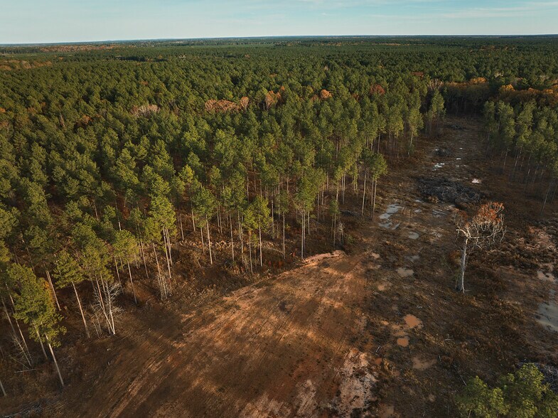 More Photos Of 480 Martin Rd, Cotton Valley Land For Sale