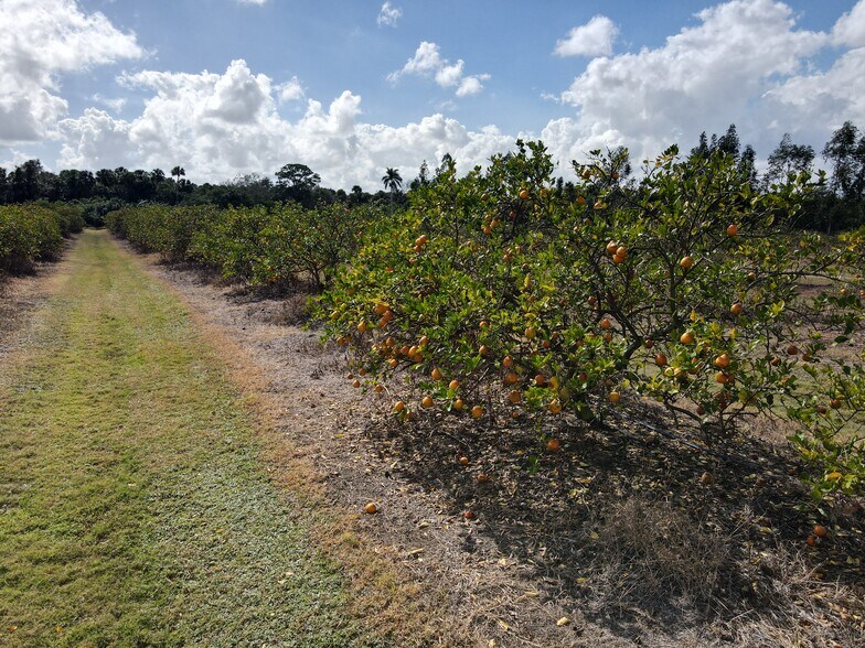 More Photos Of 8101 Okeechobee Rd, Fort Pierce Land For Sale