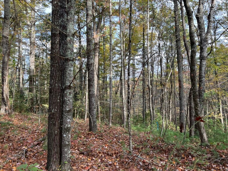 More Photos Of Whitecliff Drive, Ellijay Land For Sale