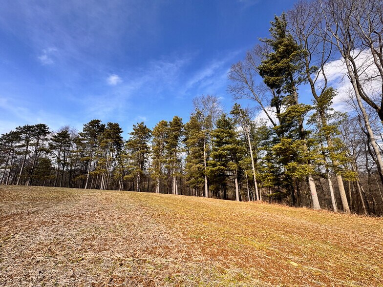 More Photos Of 15 GLECOE Rd, Dellroy Land For Sale