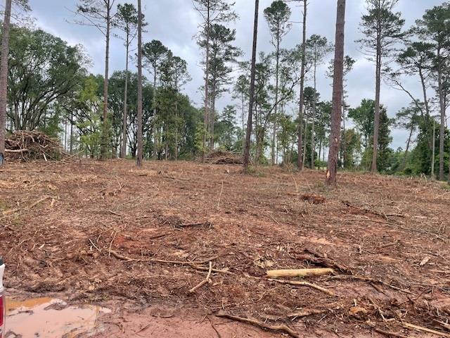More Photos Of 1408 Us 82 W, Leesburg Land For Sale