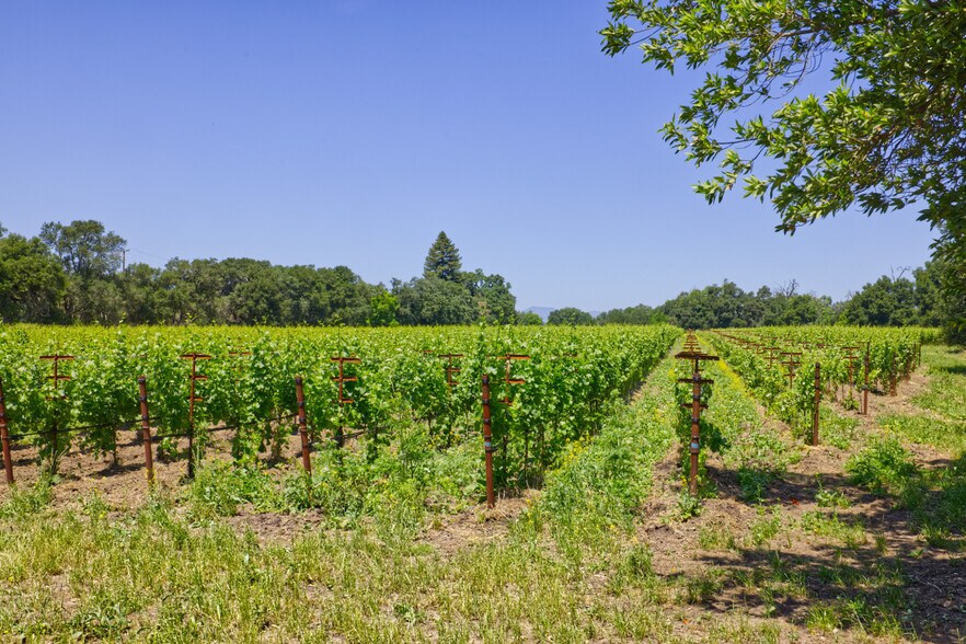 More Photos Of 6160 St Helena hwy, Napa Land For Sale