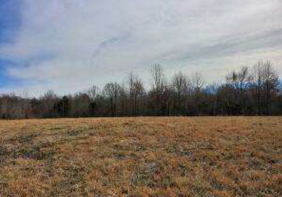 Primary Photo Of Woolfolk Road, Senatobia Land For Sale