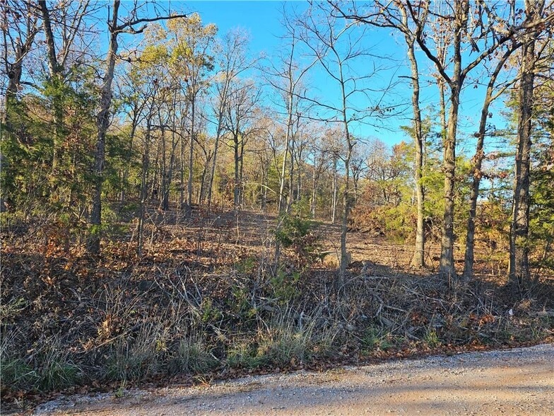 More Photos Of Highway 23 and Madison 1000 - 15.94 Acres, Huntsville Land For Sale
