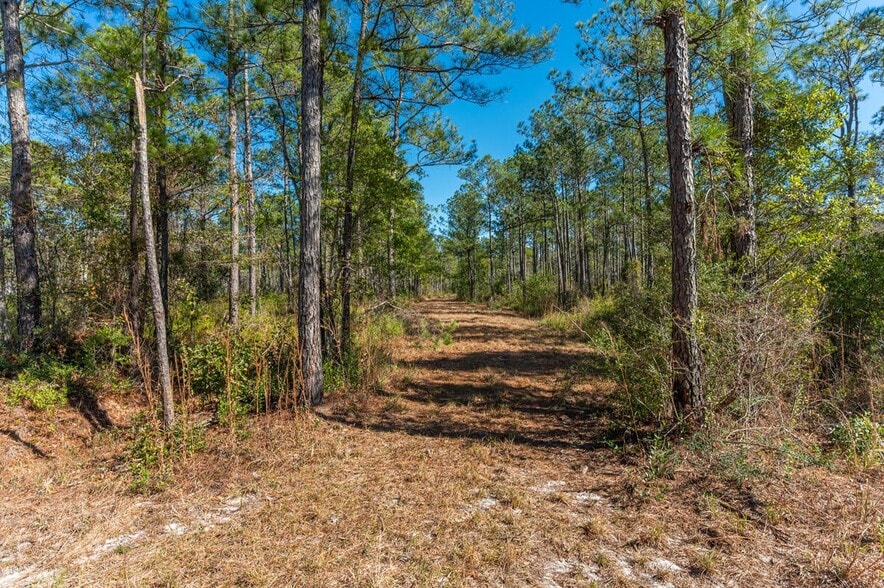 More Photos Of Hwy 331 S & Jolly Bay Road, Freeport Land For Sale