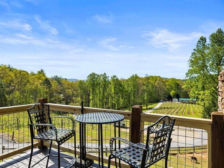 More Photos Of 366 Paradise Rd, Blairsville Winery Vineyard For Sale