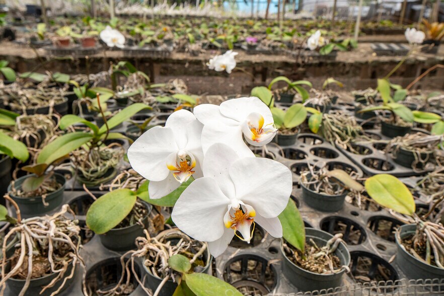 More Photos Of 86-347 Halona Rd, Waianae Contractor Storage Yard For Sale