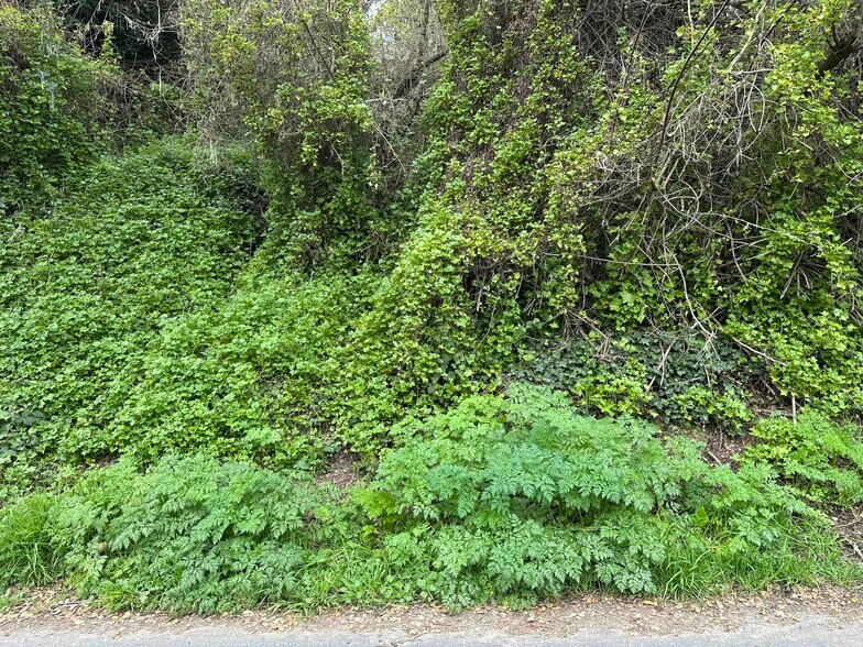 More Photos Of 000 Encino Drive, Aptos Land For Sale