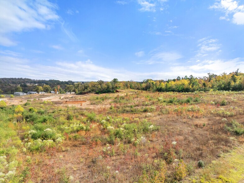 More Photos Of 15374 Hwy 110 S, Whitehouse Land For Sale