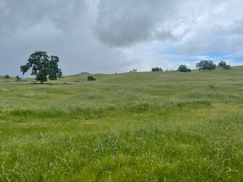 More Photos Of Hwy 41, O Neals Land For Sale