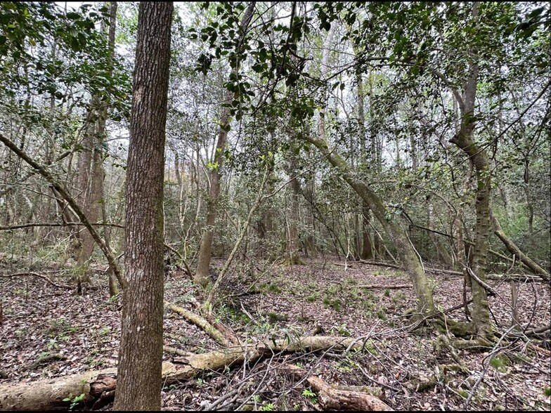 More Photos Of Eufaula Land in Barbour County, Eufaula Land For Sale