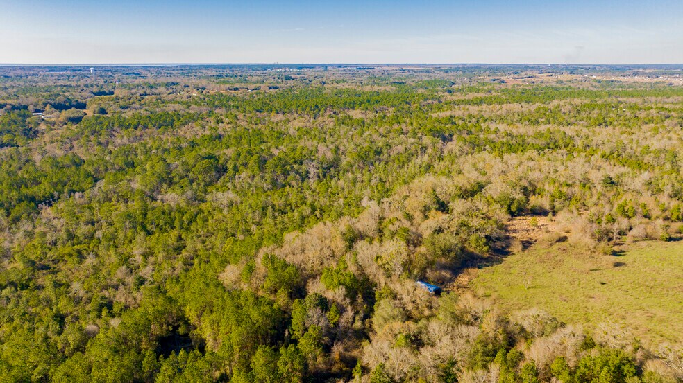 More Photos Of 12960 County Road 48, Silverhill Land For Sale