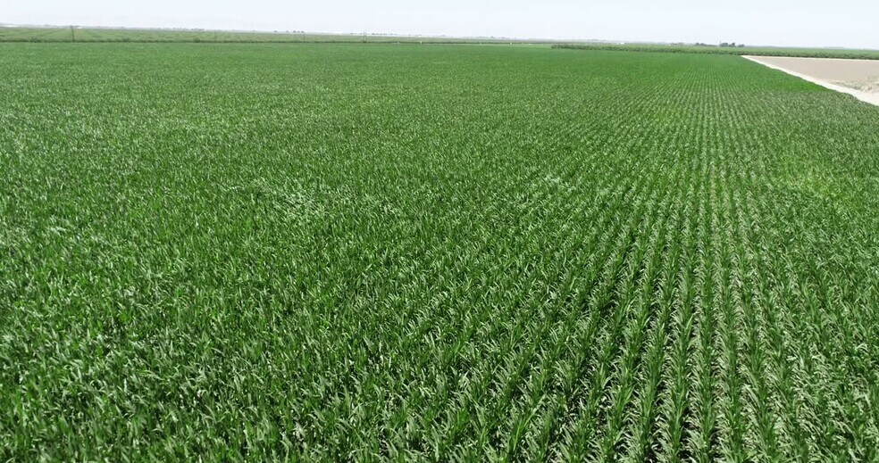 More Photos Of West El Nido Road Rd @ Roosevelt Road, El Nido Land For Sale