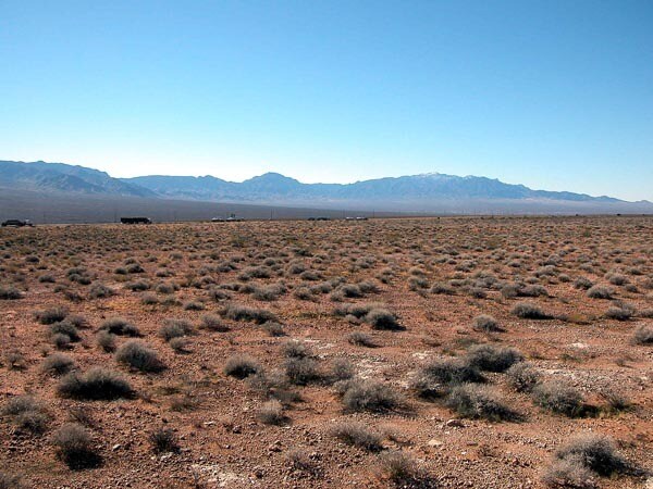 More Photos Of 590 N Virgin Acres Blvd, Littlefield Land For Sale