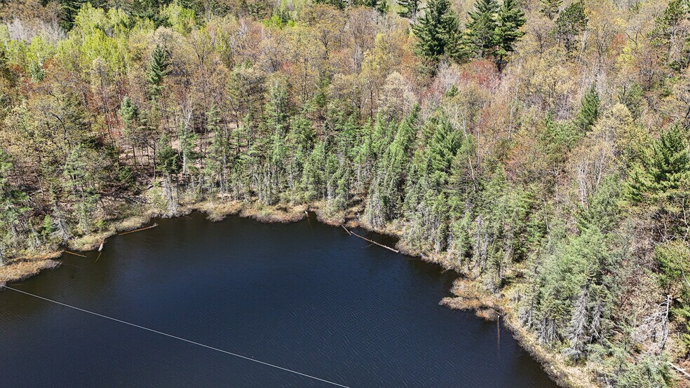 More Photos Of 7849 US Highway 51, Minocqua Sports And Entertainment For Sale