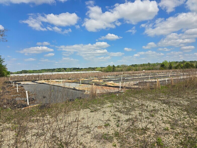 More Photos Of 11888 County Road 345, Winona Land For Sale
