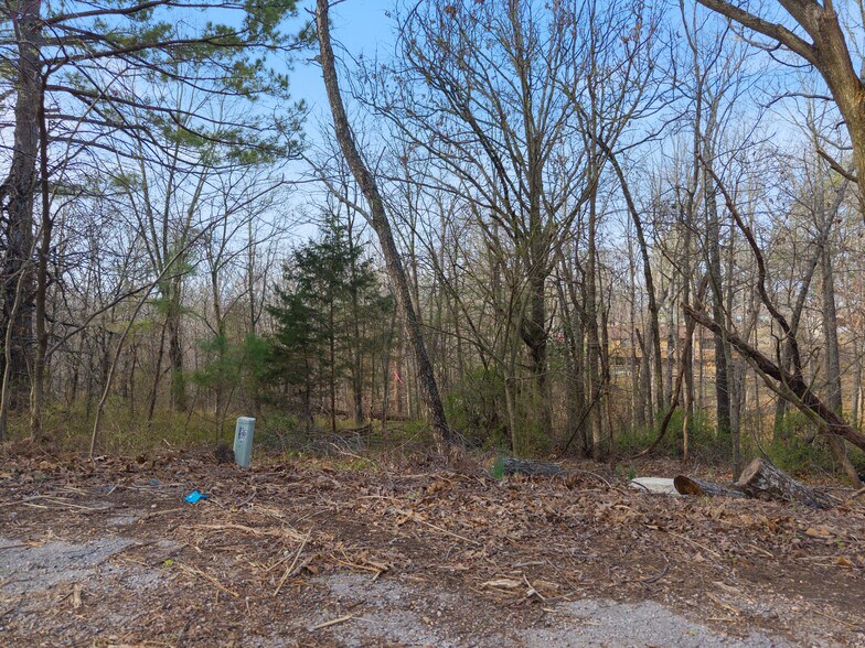More Photos Of Nairn Cir, Bella Vista Land For Sale