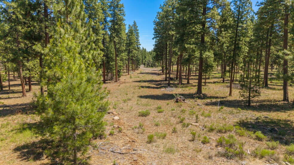 More Photos Of 0 Blue Wing Street, Keno Land For Sale