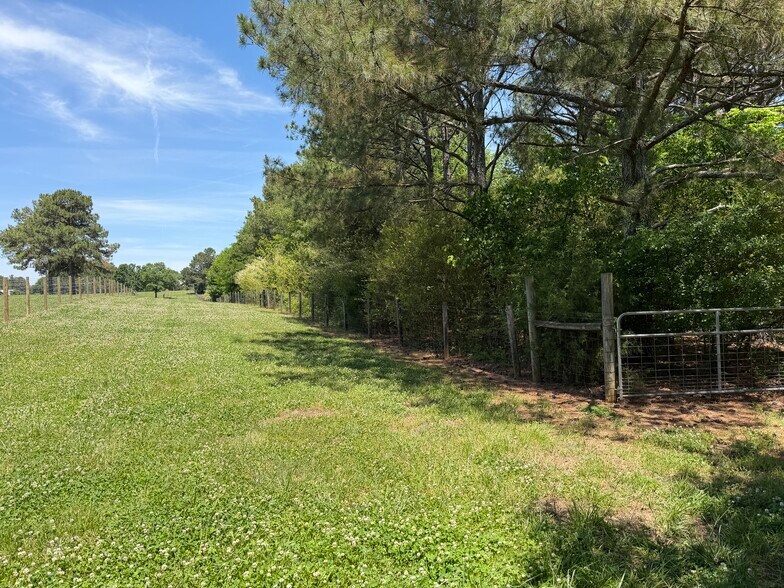 More Photos Of 1593 Old Alabama rd, Taylorsville Land For Sale