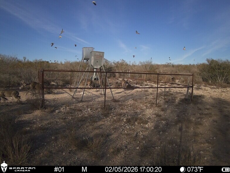 More Photos Of Las Brisas Road, Rio Grande City Land For Sale