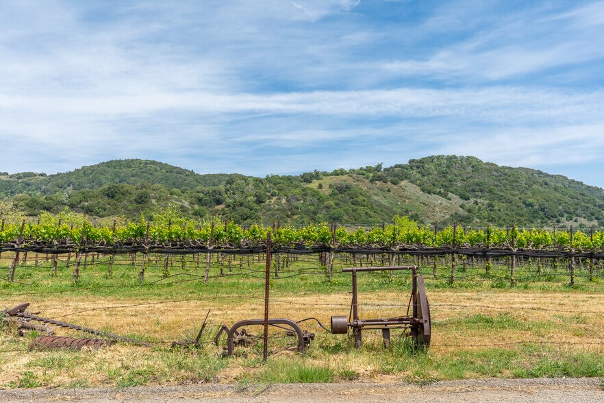 More Photos Of 1255 Julian Orchards Dr, Julian Winery Vineyard For Sale