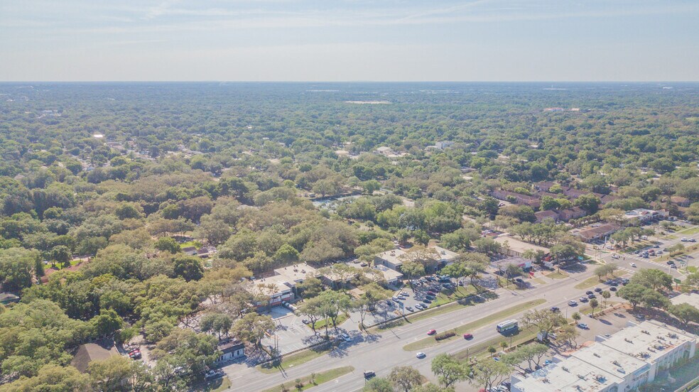 More Photos Of 10915-11009 N 56th St, Tampa Storefront Retail Office For Lease