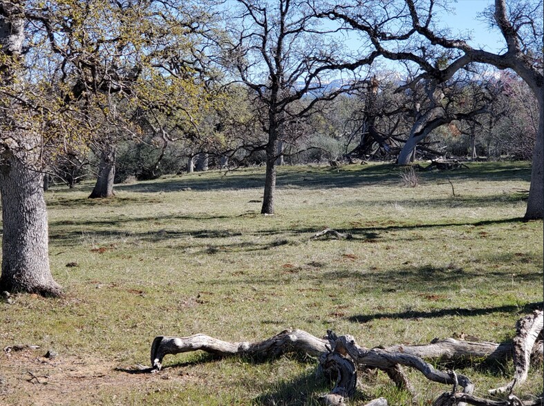 More Photos Of 15-One NE Ranch Rd, Paynes Creek Land For Sale