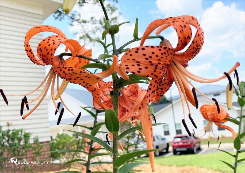 More Photos Of 233 Gilreath Rd NW, Cartersville Assisted Living For Sale