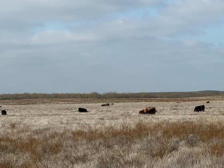More Photos Of Dunton Rd @ CA Hwy 4, Oakdale Land For Sale