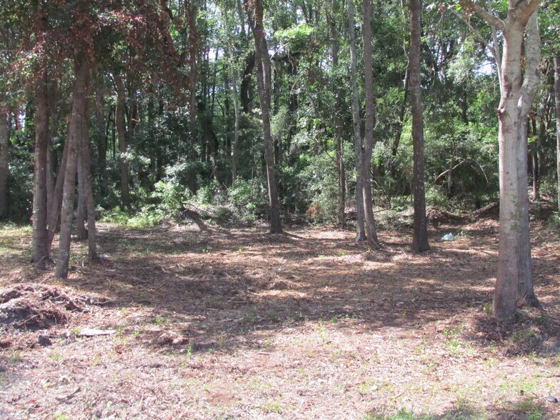 More Photos Of 590 Robert Smalls Pkwy, Beaufort Land For Sale