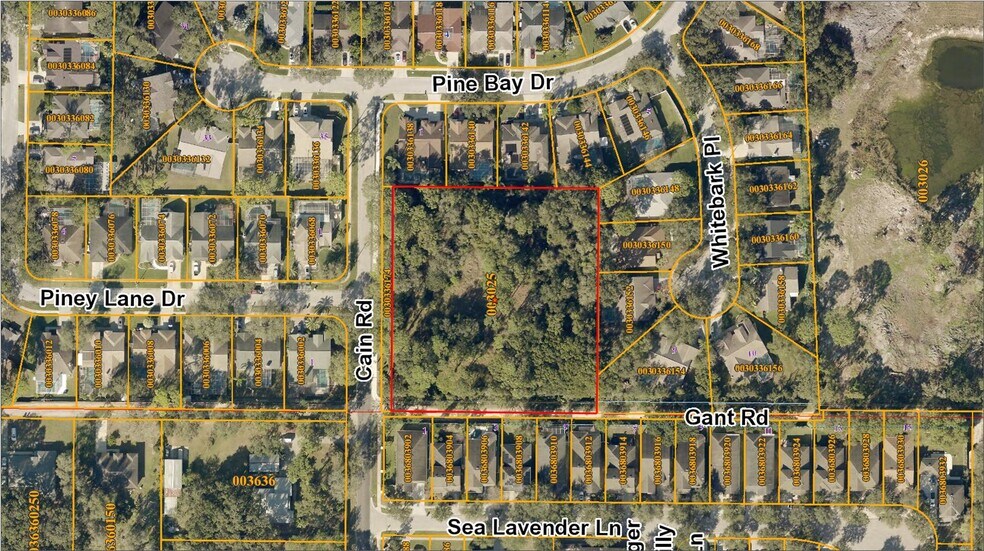 More Photos Of 6501 Gant Rd, Tampa Land For Sale