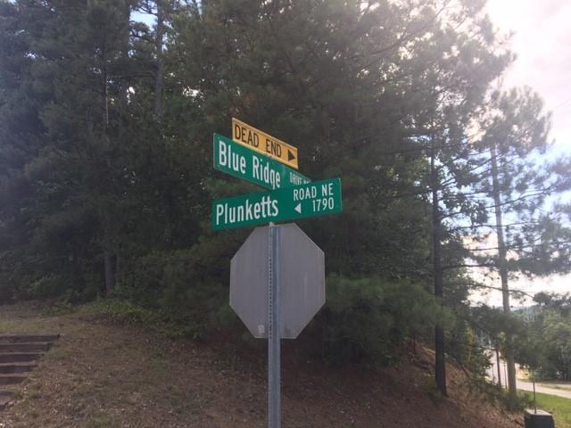 More Photos Of 1781 Plunketts Rd, Buford Land For Sale