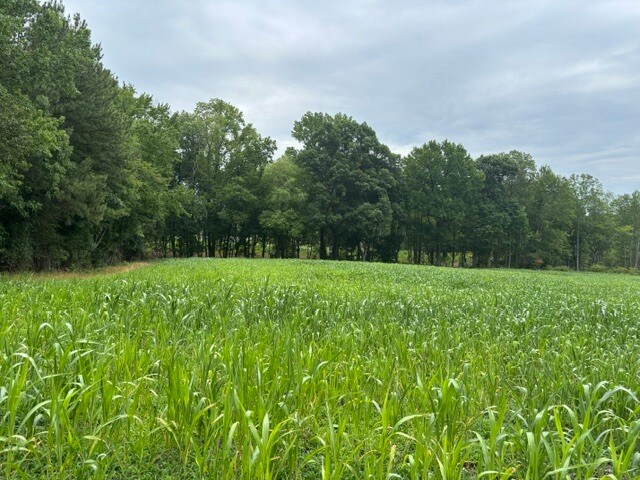 More Photos Of 2723 Mays Crossroads Rd, Youngsville Land For Sale