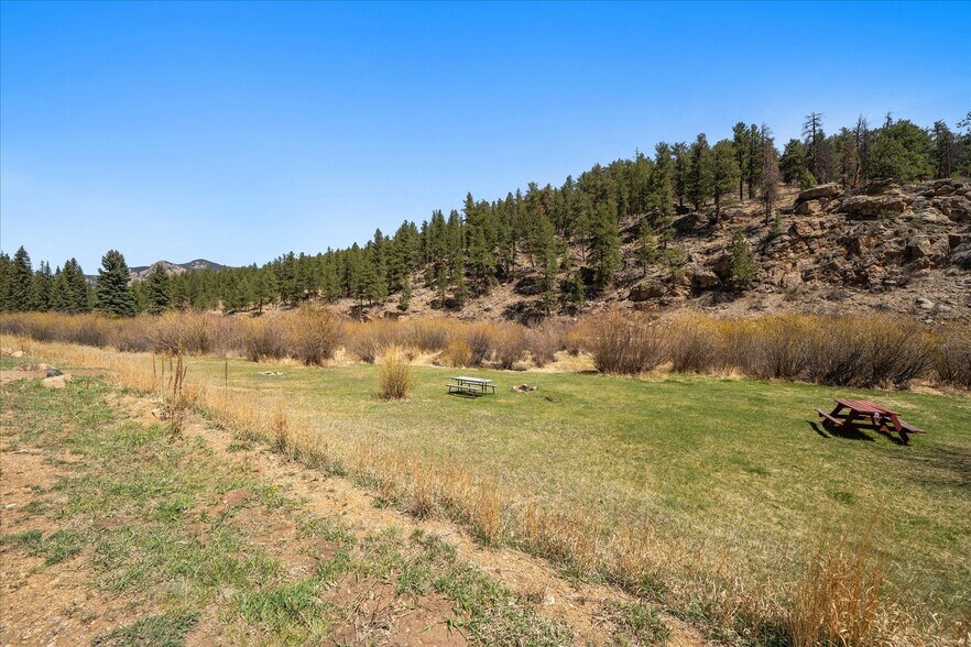 More Photos Of , Pine Land For Sale