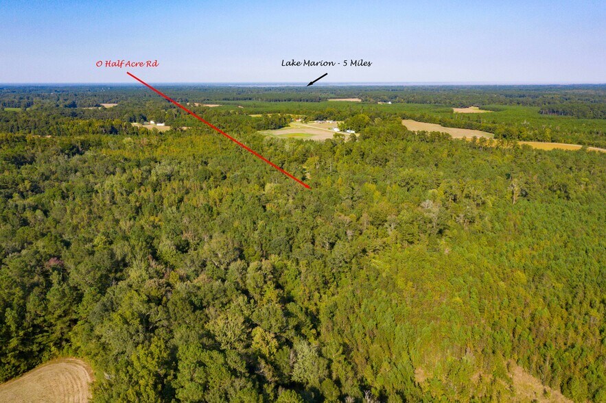 More Photos Of 0 Half Acre Ct, Vance Land For Sale