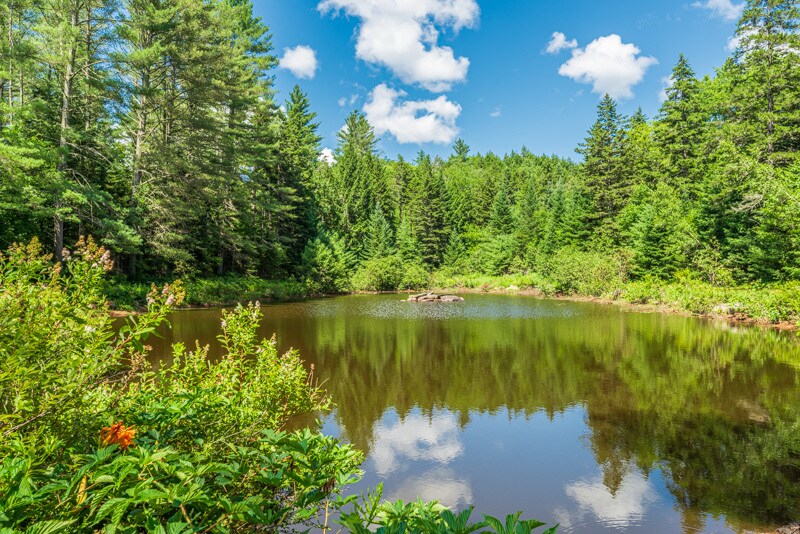 More Photos Of 132 Landgrove Rd, Landgrove Hotel For Sale