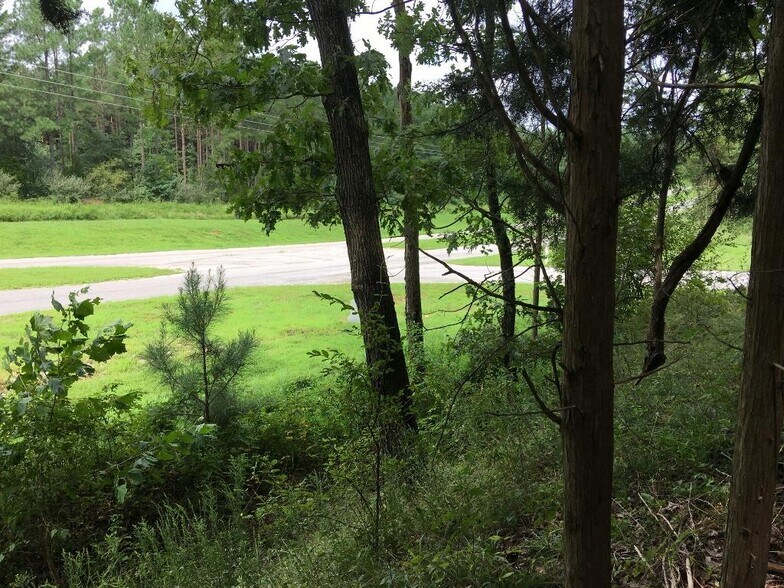 More Photos Of Parrish Ridge Ln, Goreville Land For Sale
