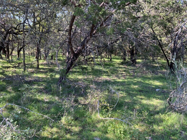 More Photos Of TBD County Road 386, Carlton Land For Sale
